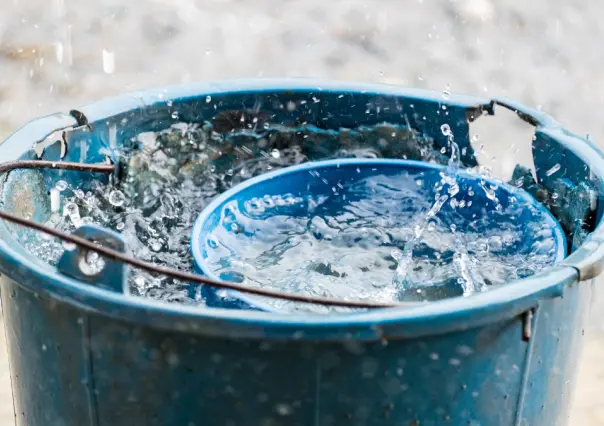 ¿Qué hacer con el agua de lluvia? 5 ideas para reutilizarla