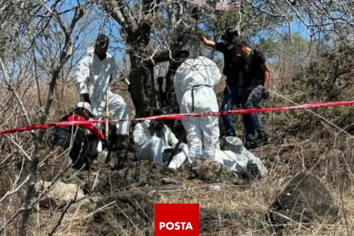 Elementos periciales trabajan para determinar la identificación de los restos. Foto: X