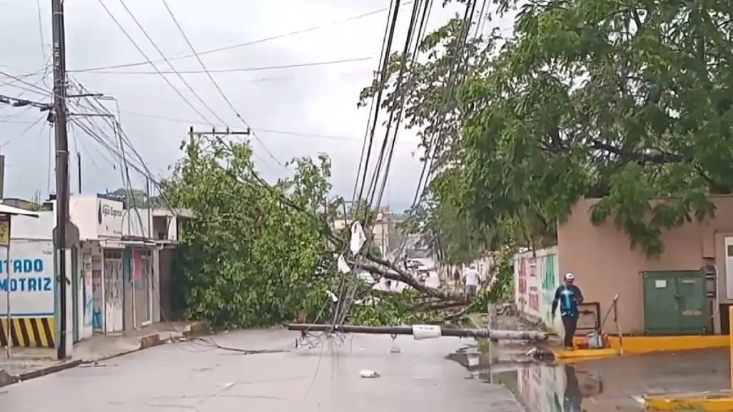 Una fuerte tromba causa estragos en Coatepec, Veracruz