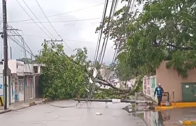 Una fuerte tromba causa estragos en Coatepec, Veracruz