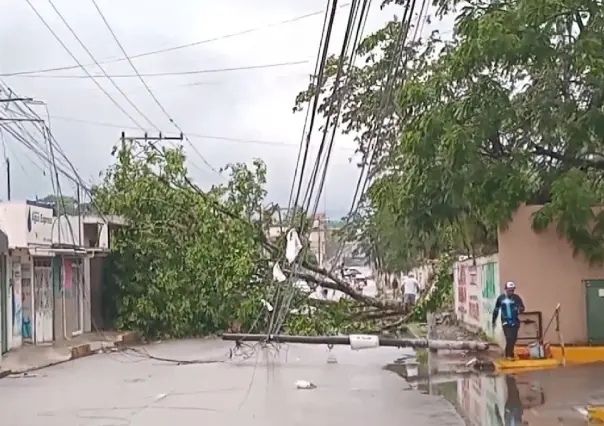 Una fuerte tromba causa estragos en Coatepec, Veracruz