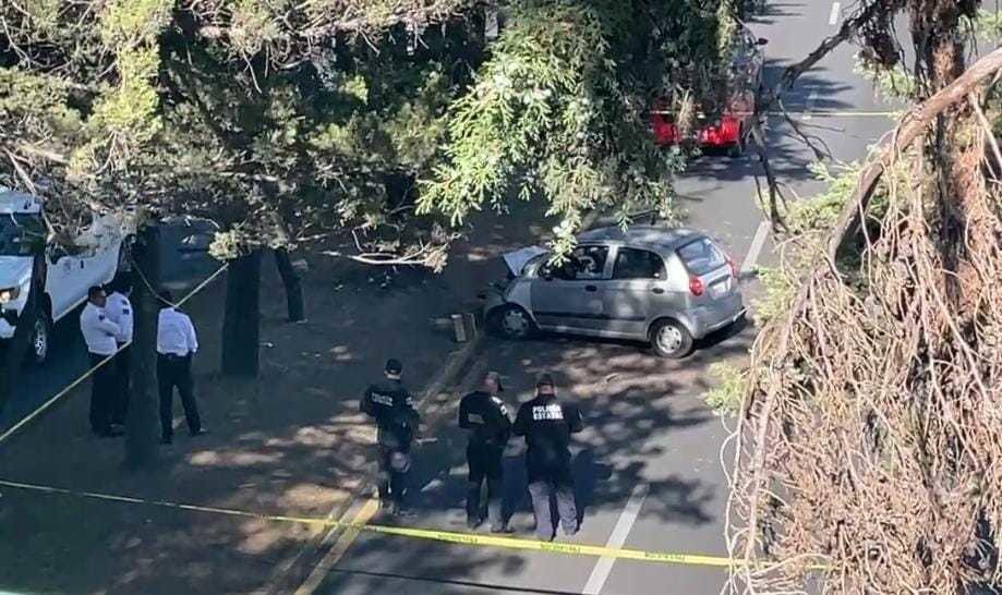 Accidente en Paseo Tollocan: Hombre pierde la vida en colisión contra árbol