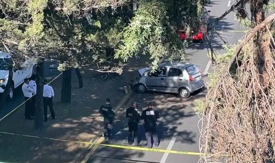 Fatal accidente en Paseo Tollocan: Hombre pierde la vida en colisión contra árbol. Foto: Captura de pantalla