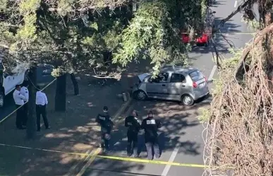 Accidente en Paseo Tollocan: Hombre pierde la vida en colisión contra árbol