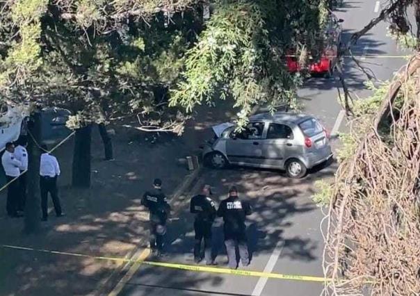 Accidente en Paseo Tollocan: Hombre pierde la vida en colisión contra árbol