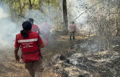 Alarman dos incendios forestales en Villa del Carbón y Jilotzigo (VIDEO)