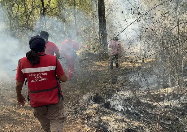 Alarman dos incendios forestales en Villa del Carbón y Jilotzigo (VIDEO)