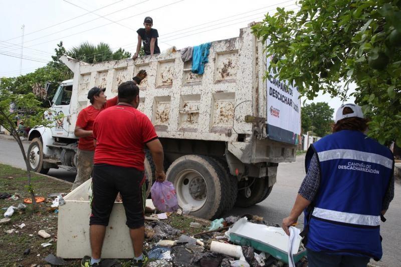 Anuncian la campaña de descacharrización contra mosco transmisor del dengue