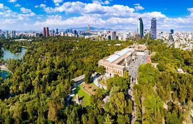 Reforestan Chapultepec para que soporte el cambio climático