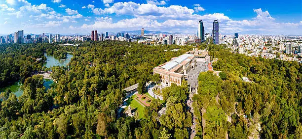 Reforestan Chapultepec para que soporte el cambio climático