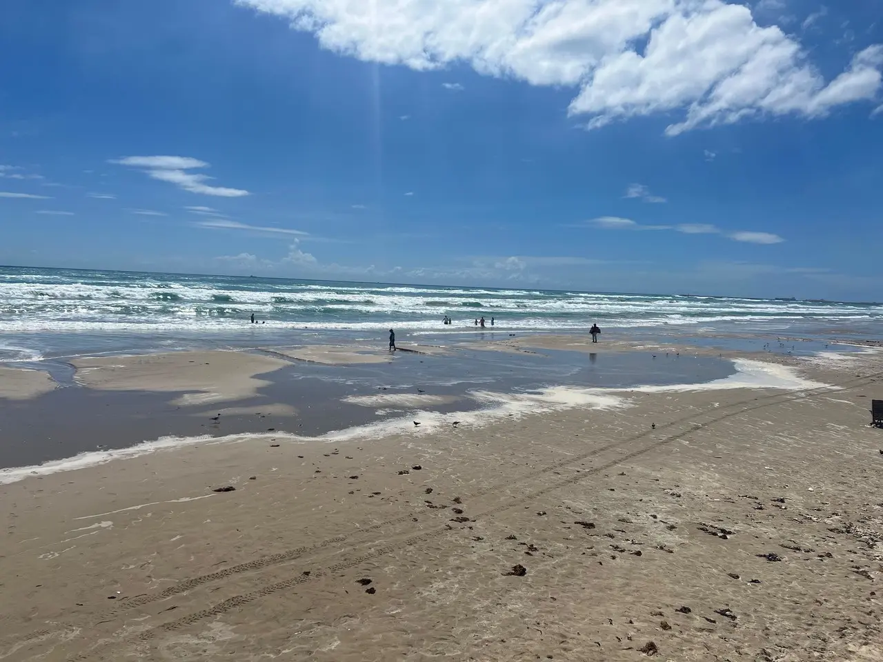 Esta salida del mar causó expectación entre la ciudadanía y visitantes. Fotos: Axel Hassel