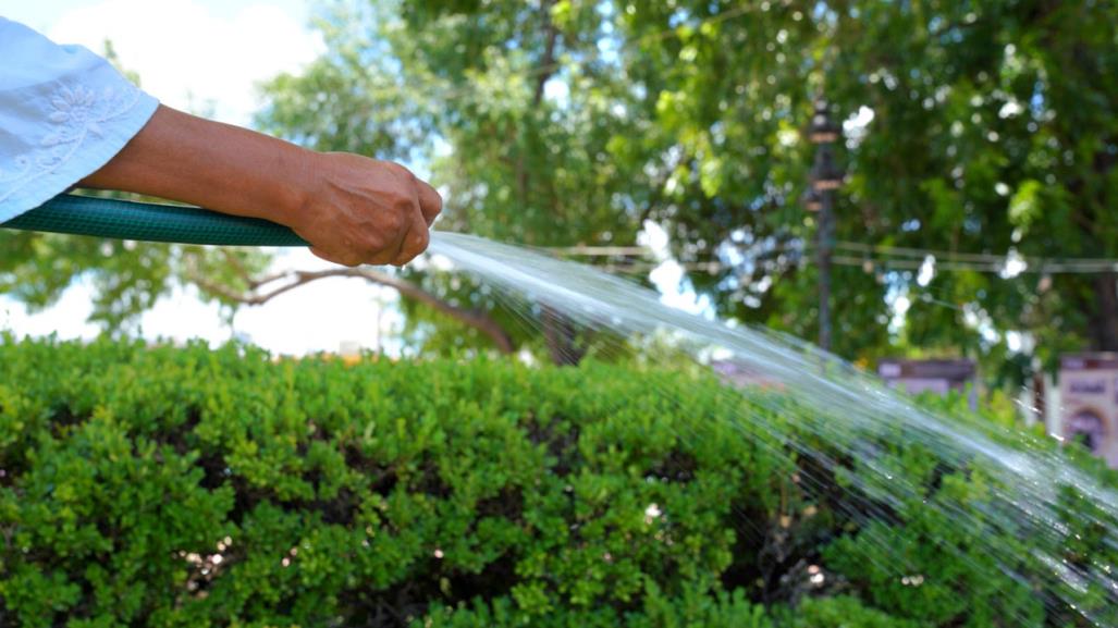 Aplican multas de hasta 10 mil pesos por mal uso del agua