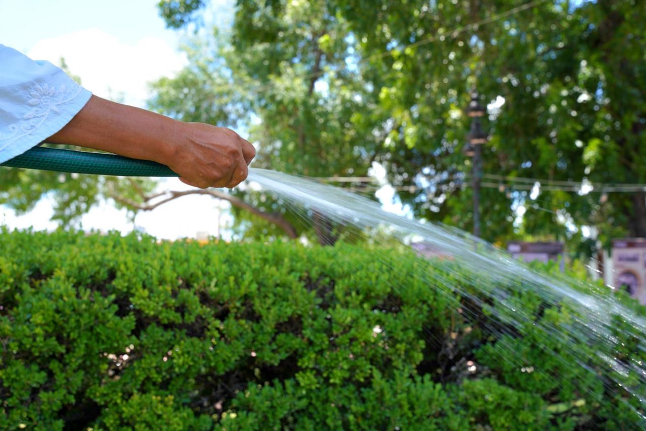 Las autoridades instan a la población a adoptar prácticas sostenibles y evitar el uso innecesario de agua.