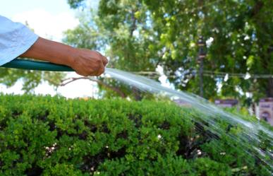 Aplican multas de hasta 10 mil pesos por mal uso del agua