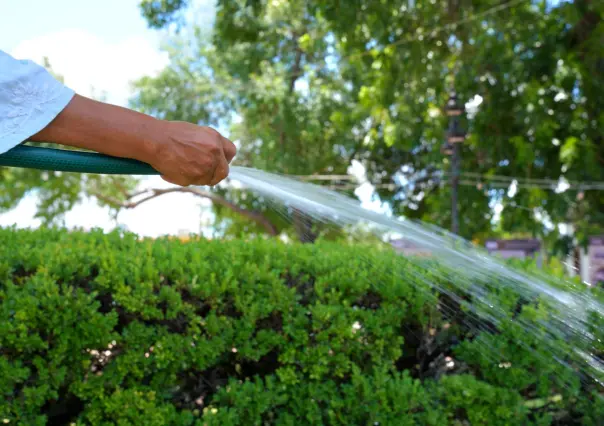 Aplican multas de hasta 10 mil pesos por mal uso del agua