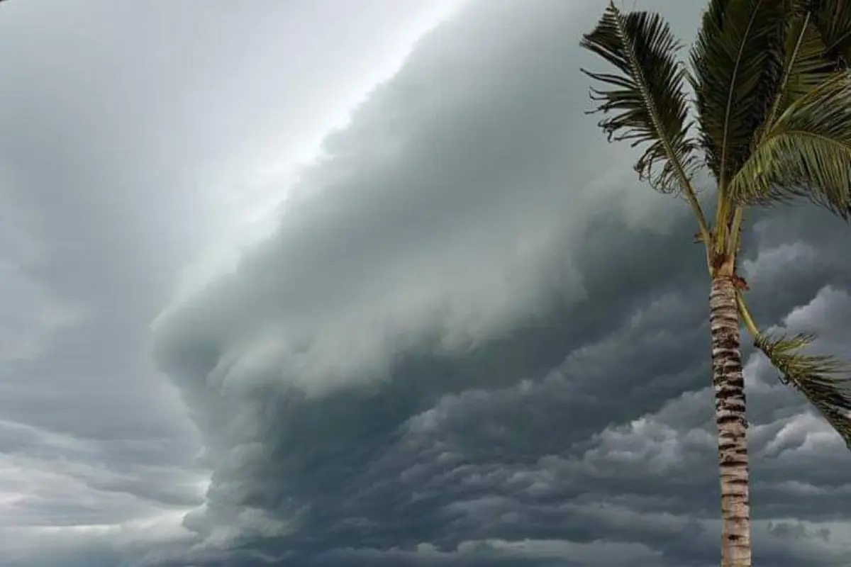 Cielo oscuro en Quintana Roo Foto: X(Twitter) @CdVictoriaTamps