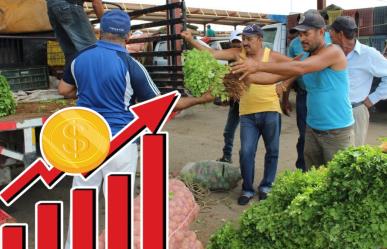 ¡Todo un lujo! Cilantro se vuelve inalcanzable tras aumento de precio en la CDMX