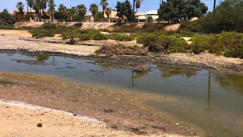 Denuncian contaminación en la ensenada de La Paz