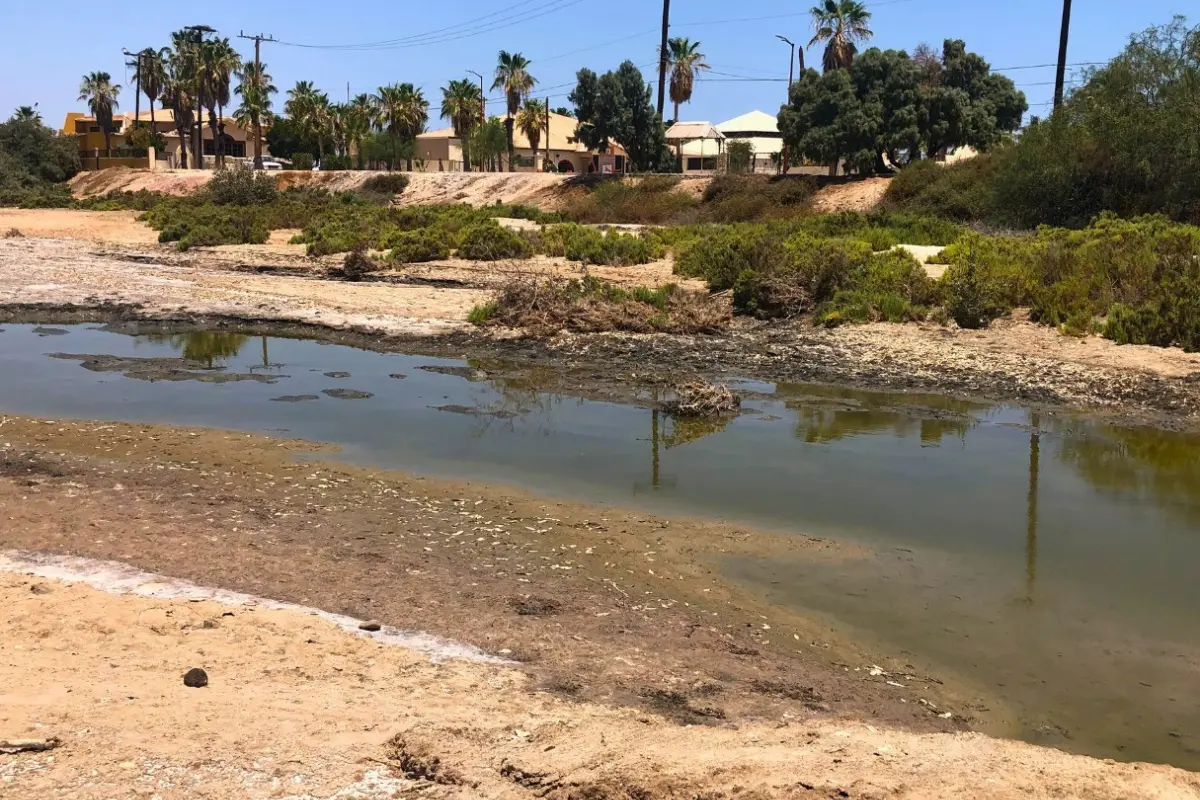 Contaminacion en la ensenada de La Paz. Foto: Facebook / ROC