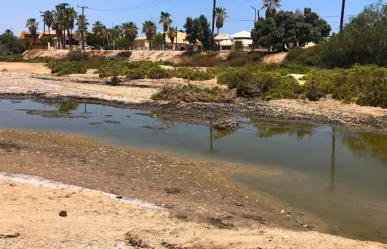 Denuncian contaminación en la ensenada de La Paz