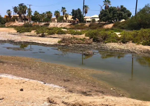 Denuncian contaminación en la ensenada de La Paz