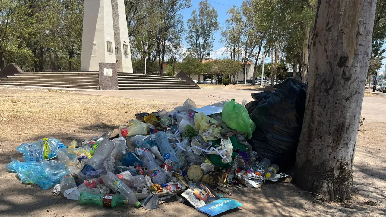 Suman 400 boletas de infracción por daños al medio ambiente