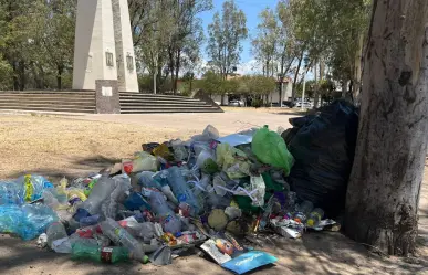 Suman 400 boletas de infracción por daños al medio ambiente