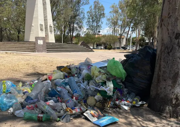Suman 400 boletas de infracción por daños al medio ambiente