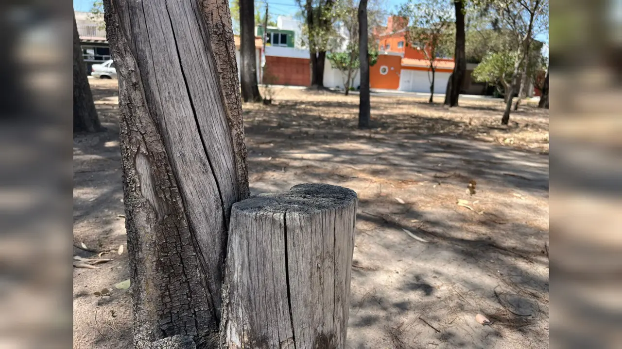 Suman 400 boletas de infracción por daños al medio ambiente