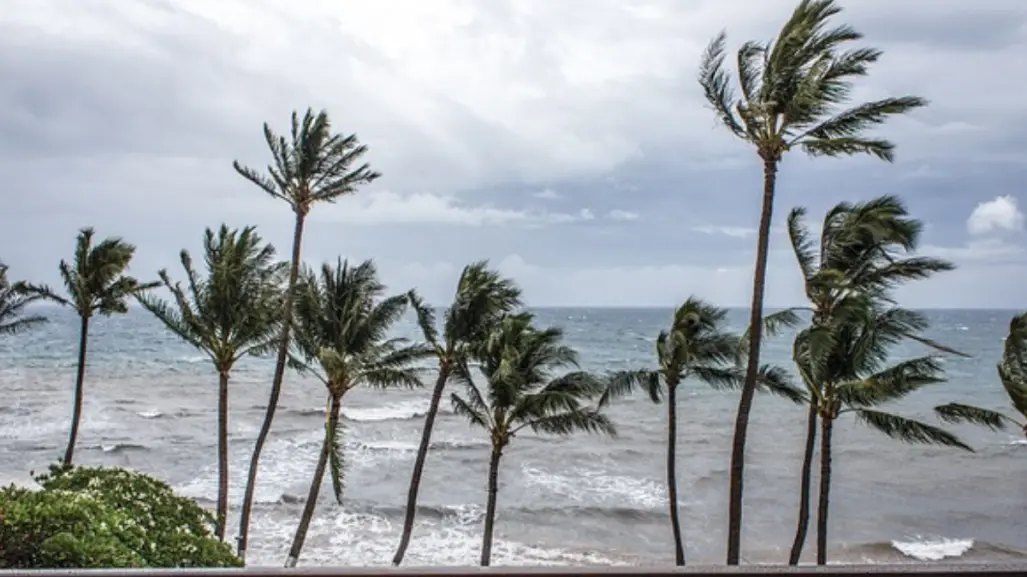 Activan Alerta Naranja para norte de Veracruz por tormenta tropical