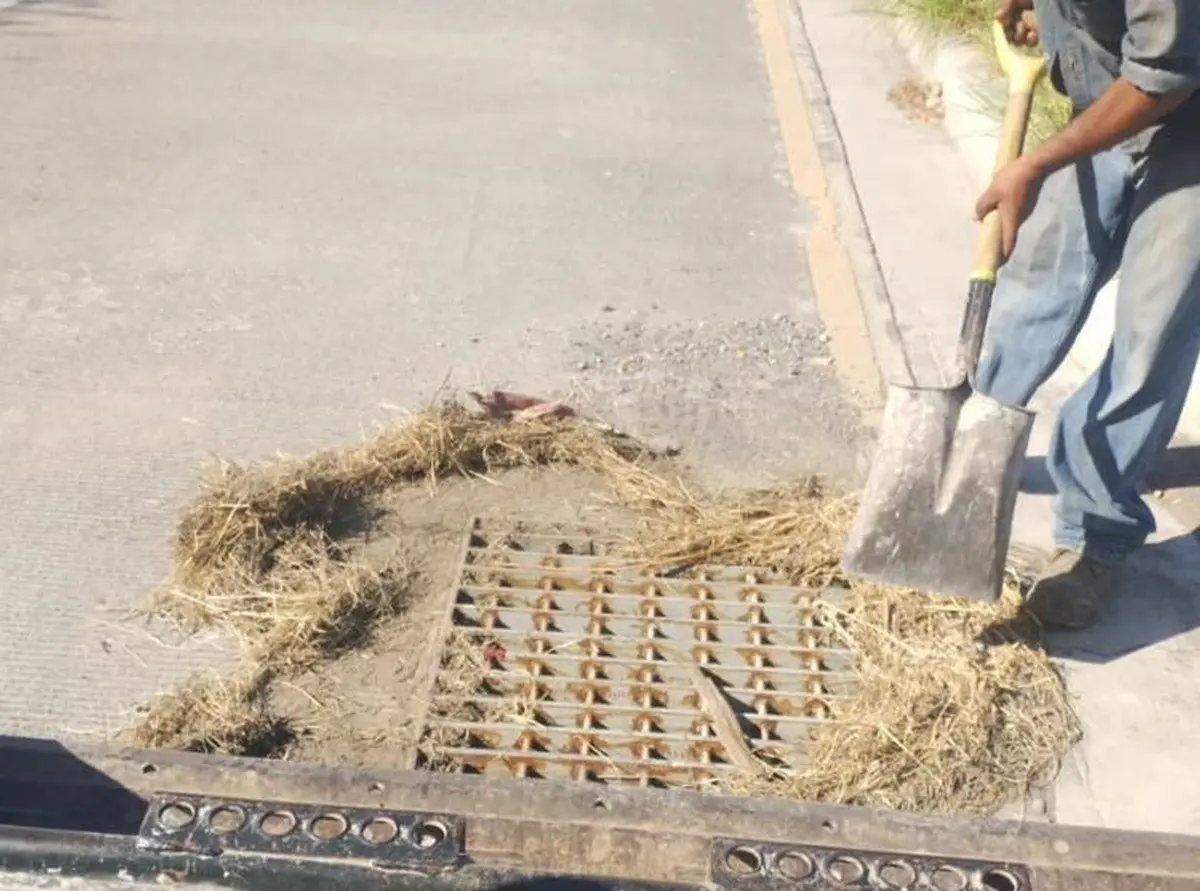 Empresas de García se unen para apoyar en labores de limpieza ante lluvias