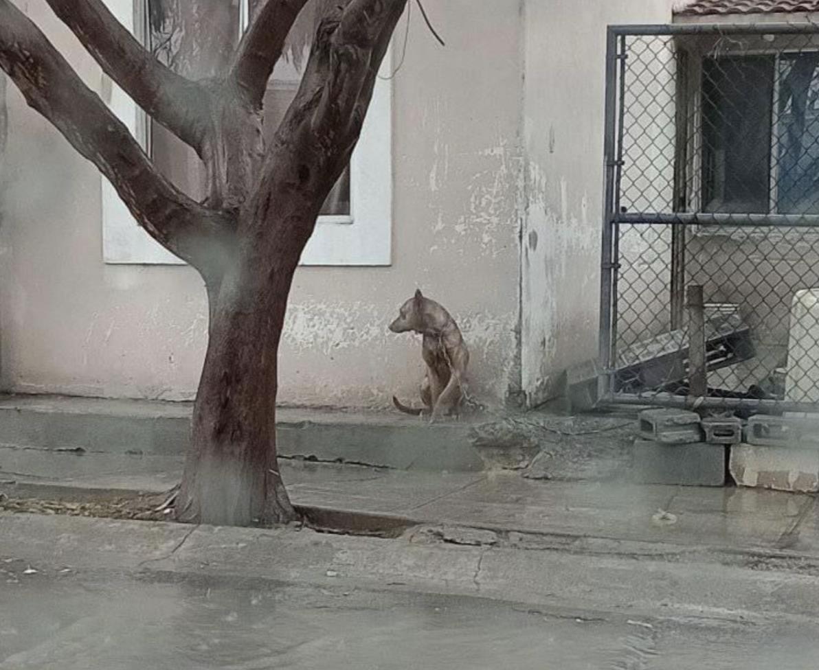 Esto sucedió en el municipio de García, específicamente sobre la calle Pamplona en la colonia Real de Capellanía. Foto: Diego Beltrán.