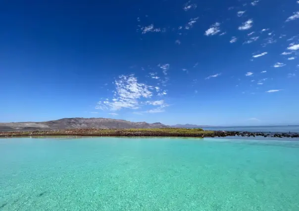 ¿Qué hacer en Loreto? Escapa a Isla Coronados este verano