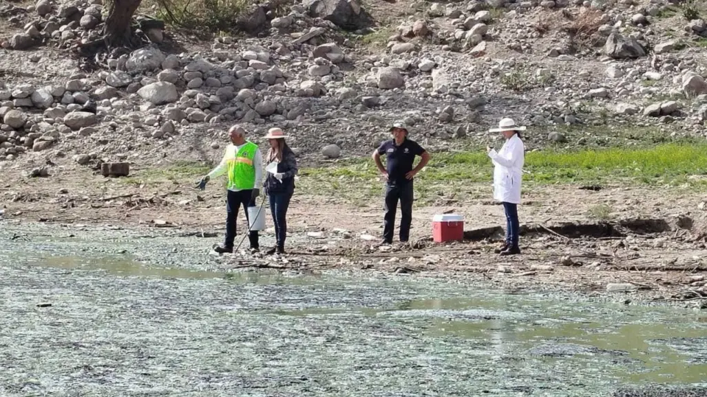 Presa Madín ¿Está sucia y contaminada el agua?