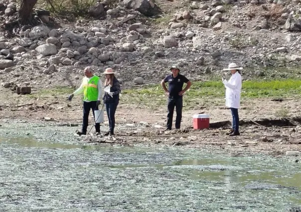 Presa Madín ¿Está sucia y contaminada el agua?