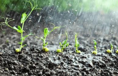 Preticor y otras palabras poco comunes sobre la lluvia