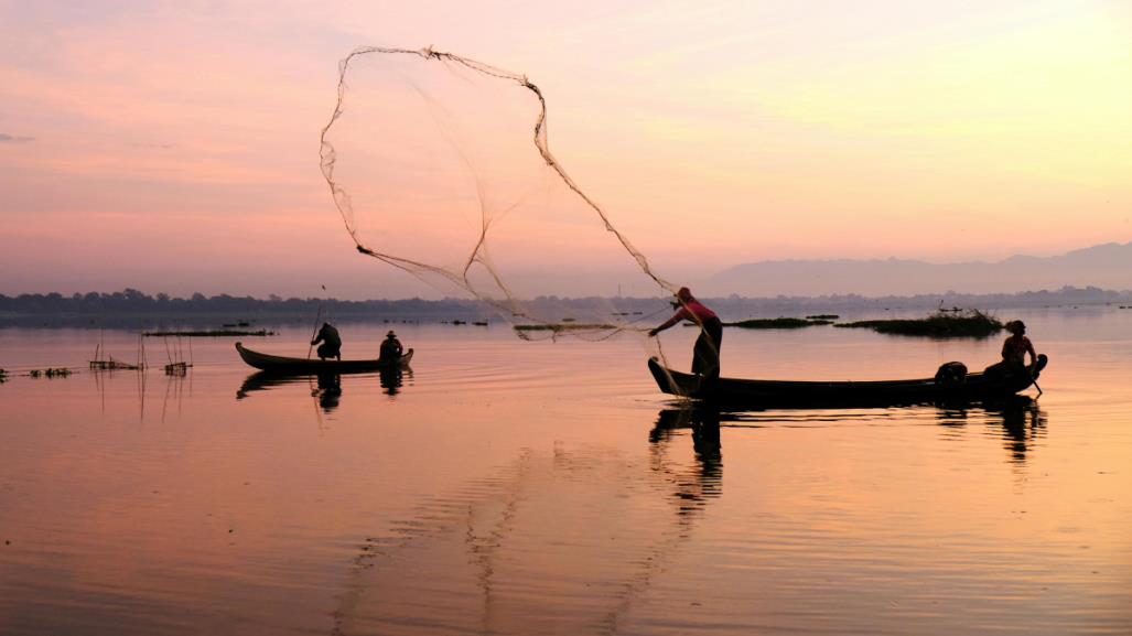 ¿Cómo solicitar el Seguro de vida para pescadores en Baja California Sur?