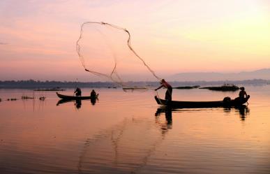 ¿Cómo solicitar el Seguro de vida para pescadores en Baja California Sur?