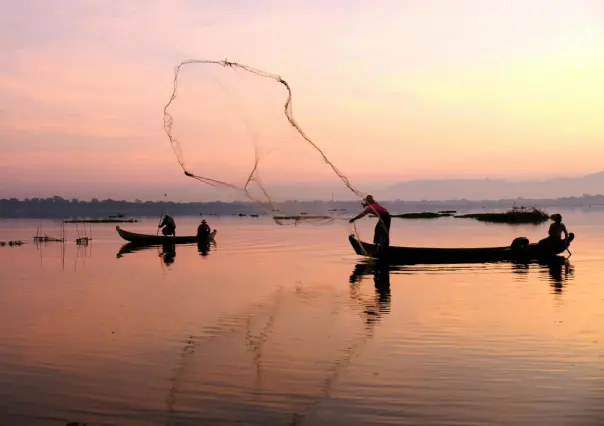 ¿Cómo solicitar el Seguro de vida para pescadores en Baja California Sur?