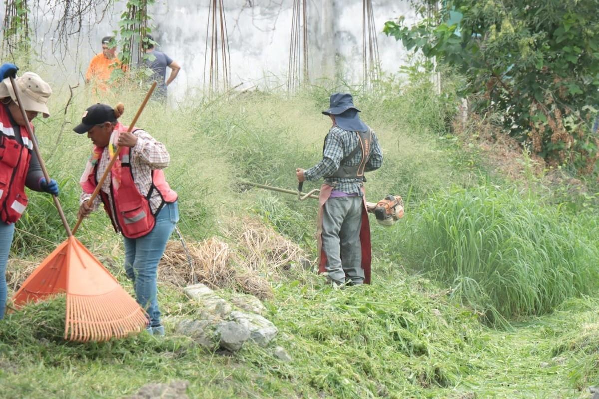 Alcalde de Juárez supervisa limpieza en arroyos y drenaje por tormenta Alberto