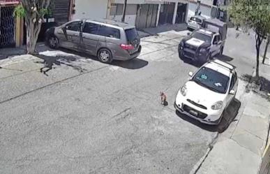 Patrulla de Ecatepec atropella a perrito (VIDEO)