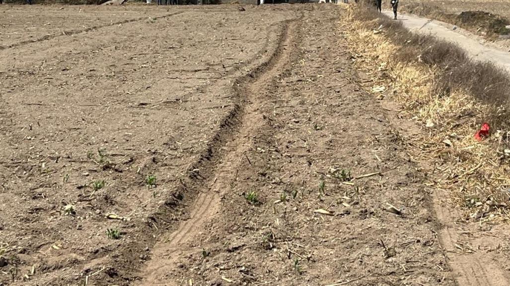 Sequía afecta al sector agrícola del Edomex