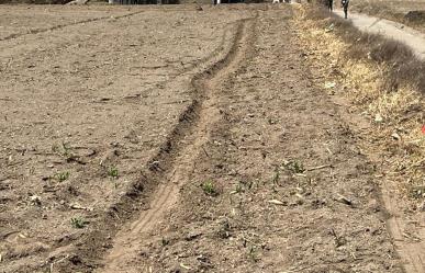 Sequía afecta al sector agrícola del Edomex