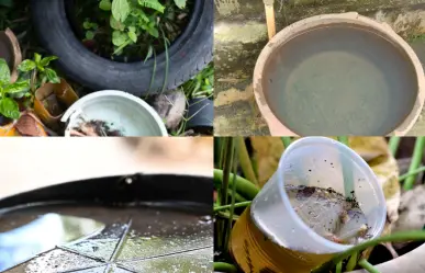 ¿Sabes qué es un cacharro? Conoce como separarlos de otro tipo de basura