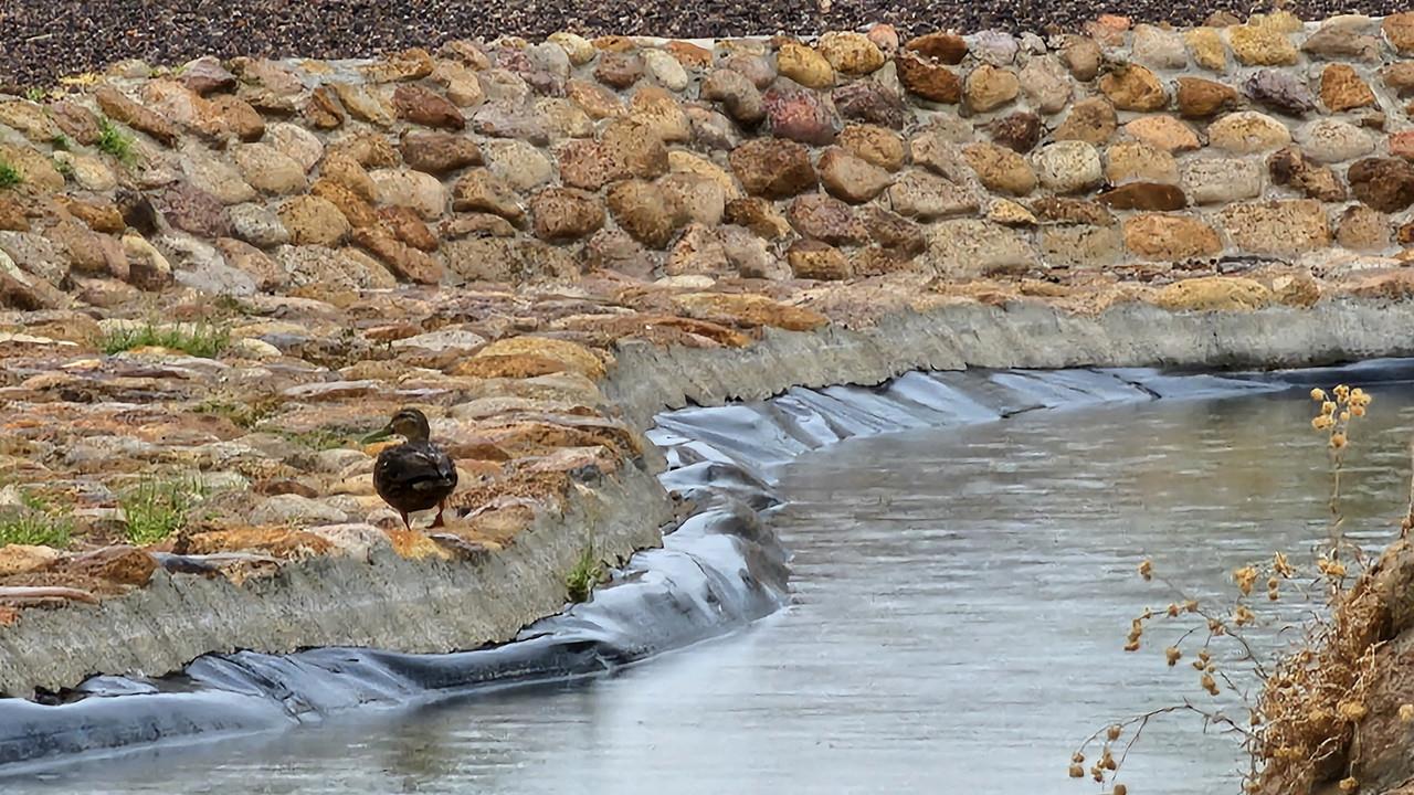 ¡Llueve en Durango! Llegan por fin las lluvias por el ciclón Alberto