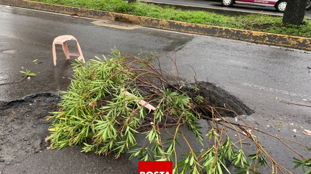 Aparece socavón en la transitada Ruiz Cortines de Xalapa; temen accidentes