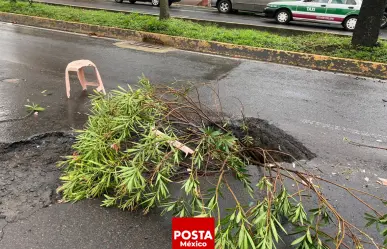 Aparece socavón en la transitada Ruiz Cortines de Xalapa; temen accidentes