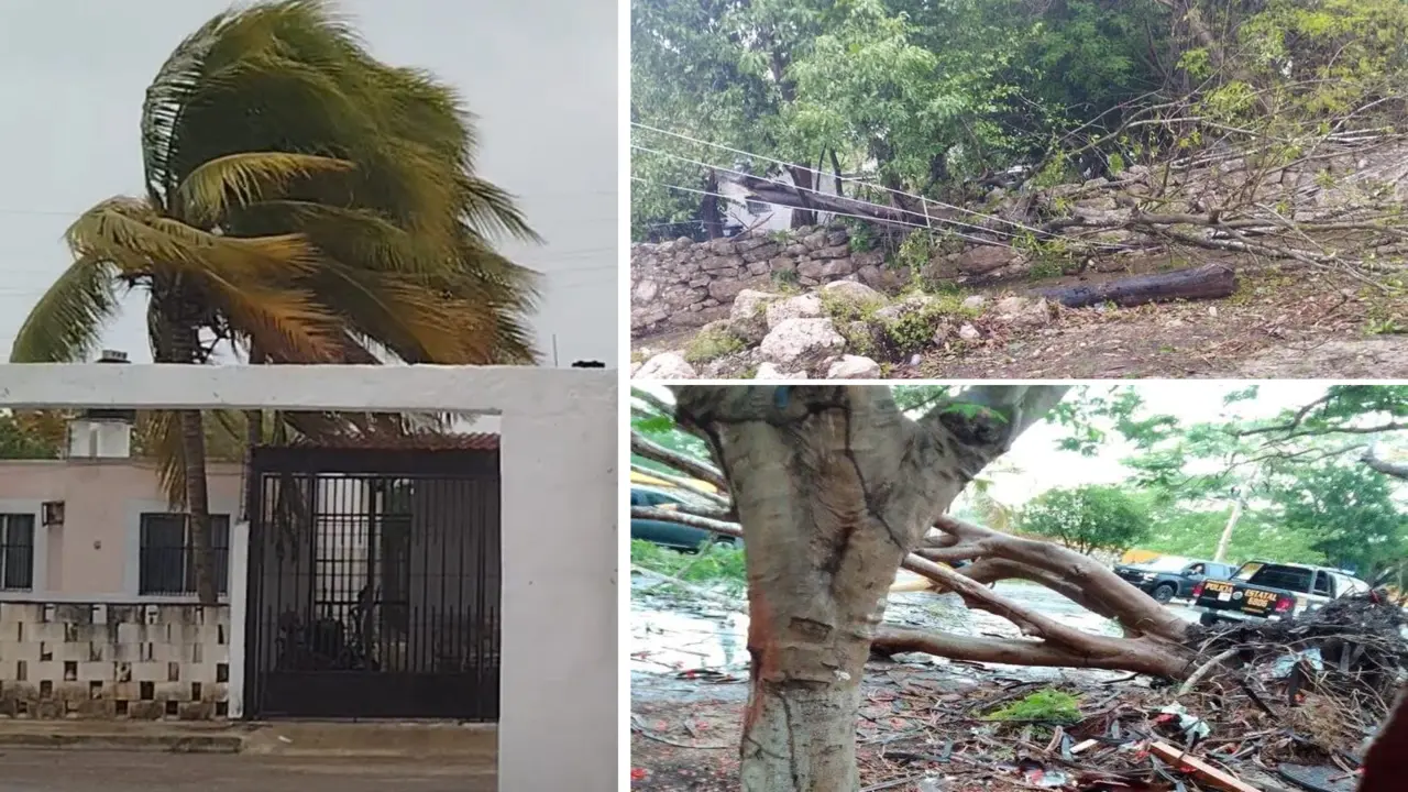 Postes, así como árboles caídos y calles inundadas, fueron la consecuencia de la fuerte turbonada Fotos: Redes sociales