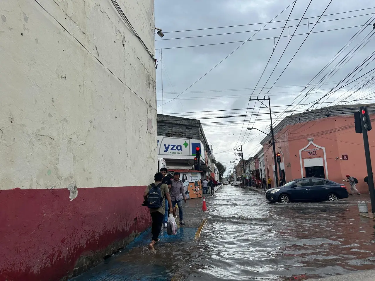 Trabajar en una arborización a conciencia y enfocada a la selva, así como más inversión en infraestructura verde en la ciudad, para amortiguar fenómenos meteorológicos. Foto: Alejandra Vargas