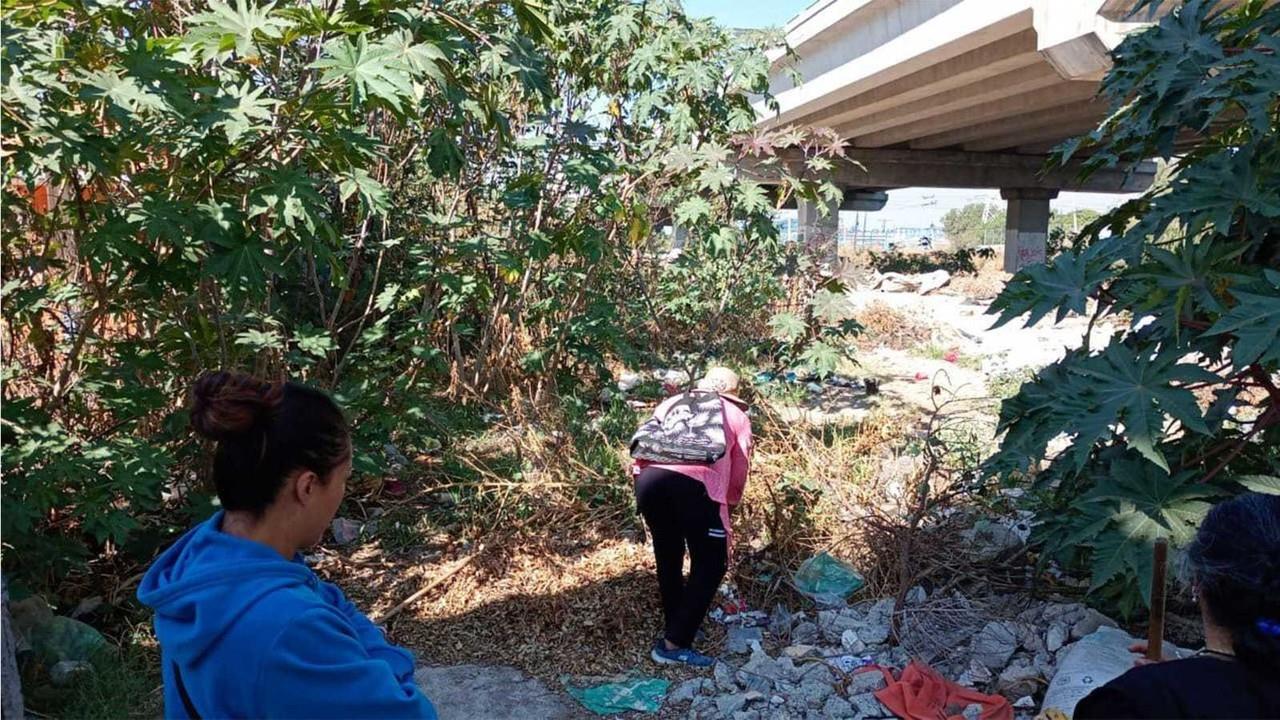 En la faena participaron cerca de 300 personas de la comunidad de Prados de Santa Clara. Imagen: GEM